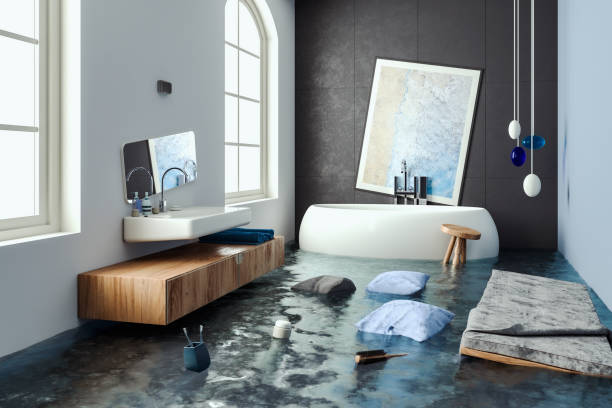 Best 24-hour water damage restoration  in Sylva, NC