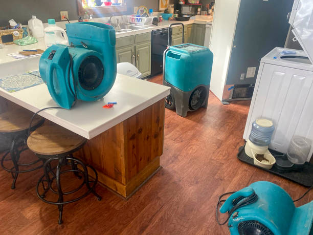 Best Local water damage restoration  in Sylva, NC