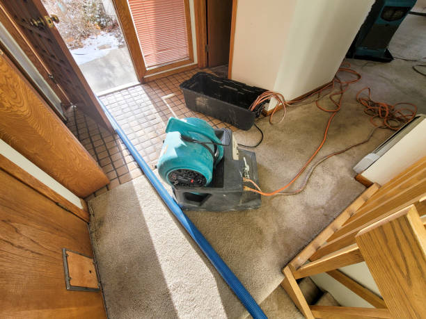 Best Water damage restoration near me  in Sylva, NC