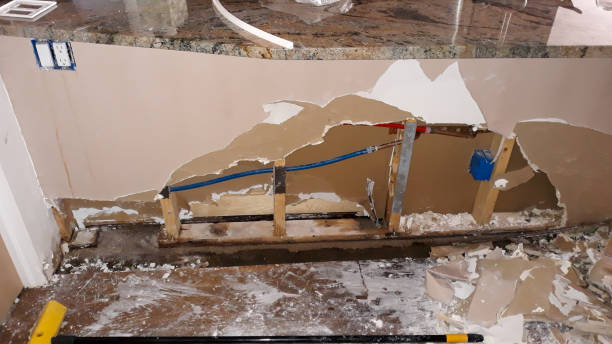 Best Sewage cleanup and water damage restoration  in Sylva, NC