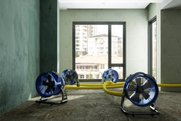Best Residential water damage restoration  in Sylva, NC